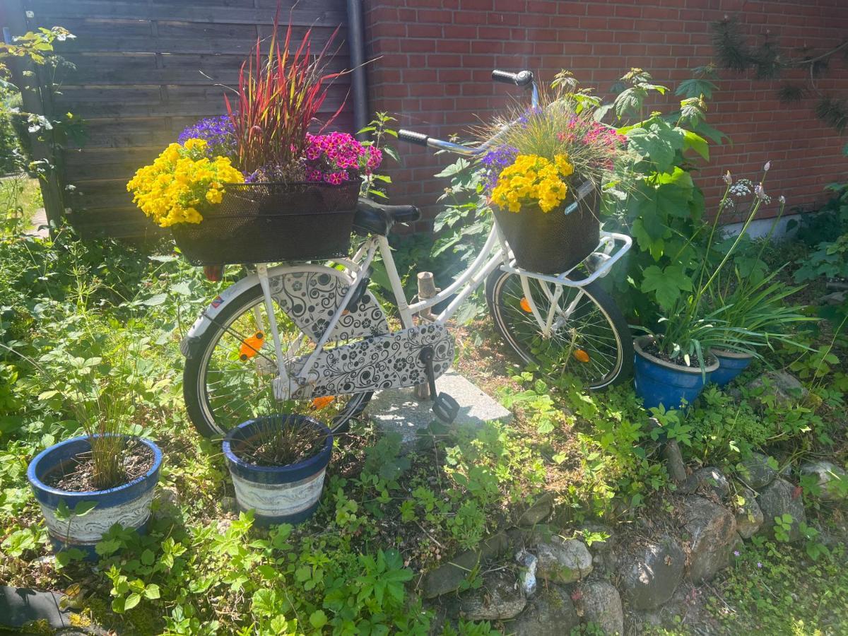 Schönhagen Segelund - Zeit Fuer Uns- Ruhige Und Sonnige Ferienwohnung Mit Terrasse Und Garten Nahe Strand Und Ostsee מראה חיצוני תמונה